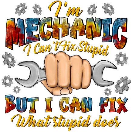 Im A Mechanic I Cant Fix Stupid DTF Print