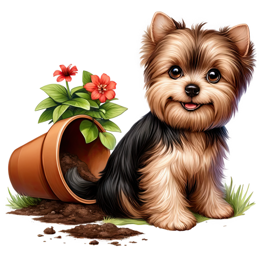 Dog Designs